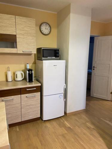 Kuchyň nebo kuchyňský kout v ubytování Posti Guest Apartment