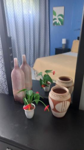 a table with vases and plants on it with a bed at Beach One Bedroom 2 in Ocho Rios