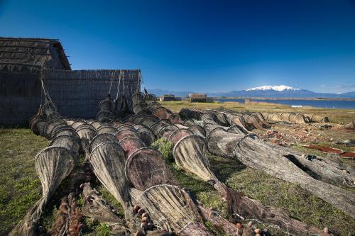 a group of logs on a field next to a barn at Litchi in Canet-en-Roussillon