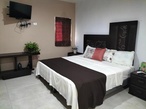 - une chambre avec un grand lit et une télévision dans l'établissement Apartamentos Playa Sur 184, à Mazatlán