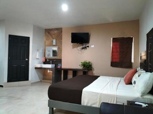 - une chambre avec un lit, un lavabo et une télévision dans l'établissement Apartamentos Playa Sur 184, à Mazatlán