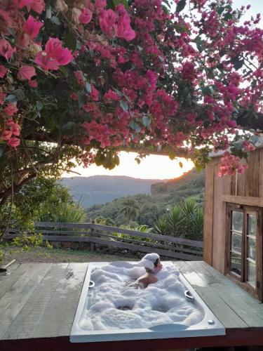 a woman in a bath tub under a tree with pink flowers at Chácara paraíso dá paz in Nova Petrópolis