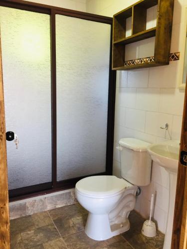 a bathroom with a toilet and a sink at Cabañas Rimü - Cabaña para 2 personas in Futrono