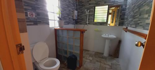 a bathroom with a toilet and a sink at Bat Tree Cottages in Agoho