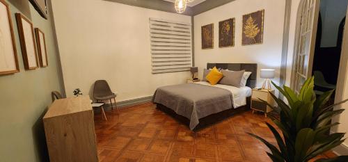 ein Schlafzimmer mit einem Bett und einer Topfpflanze in der Unterkunft Hotel Voila Londres in Santiago