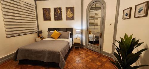 a bedroom with a bed and a plant in a room at Hotel Voila Londres in Santiago