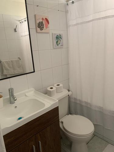 a bathroom with a toilet and a sink and a mirror at Campanario 104 con factura in Iquique