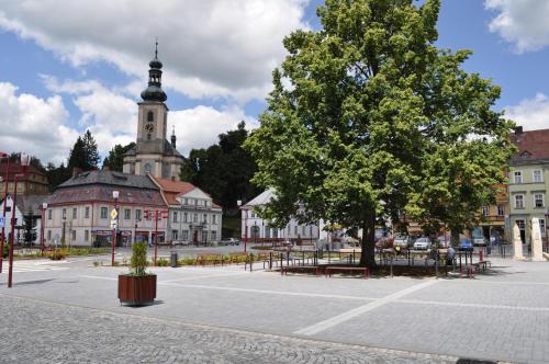 a town square with a tree and a clock tower at Hostel Lípa - Továrna in Krásná Lípa