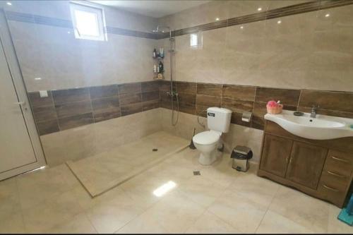 uma casa de banho com um WC e um lavatório em Вила с басейн и джакузи em Goranovtsi