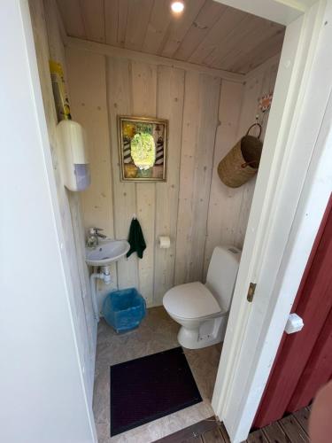 a small bathroom with a toilet and a sink at Käspri Farmstay in Koguva