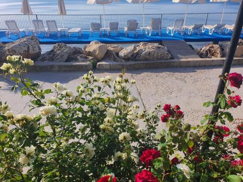 a garden with red and white flowers next to a swimming pool at Regina Maria Spa Design Hotel in Balchik