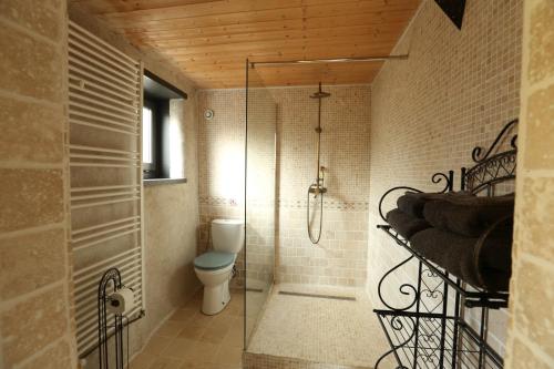 a bathroom with a shower and a toilet in it at Fenêtre sur Loire in Iguerande