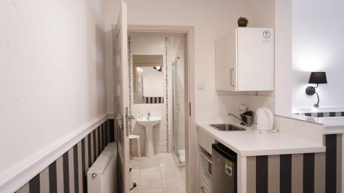 eine kleine Küche mit einem Waschbecken und ein Badezimmer in der Unterkunft U Dorotki - Apartamenty i Pokoje in Sandomierz