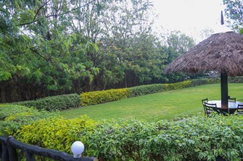 a grass umbrella and a bench in a garden at Dovenest Lodge in Naivasha