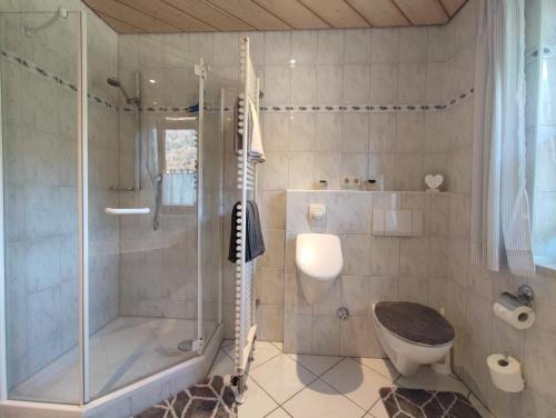 La salle de bains est pourvue d'une douche, de toilettes et d'un lavabo. dans l'établissement Ferienwohnung Haindorfer Berg, à Aschau im Chiemgau