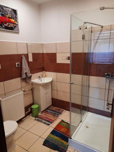 W łazience znajduje się prysznic, toaleta i umywalka. w obiekcie Gościniec w Starym Młynie w mieście Biała