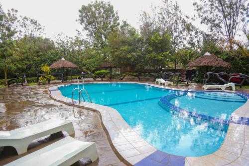 a large swimming pool with blue water at Dovenest Lodge in Naivasha