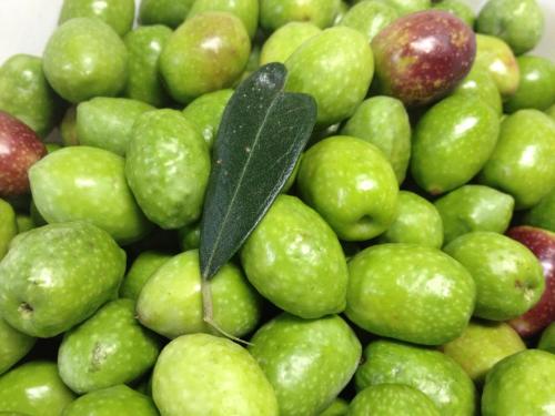 a pile of green apples with a leaf on top at Shodoshima Olive Youth Hostel in Shodoshima