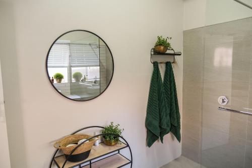 een badkamer met een spiegel en een douche bij The Olive Tree in Ceres