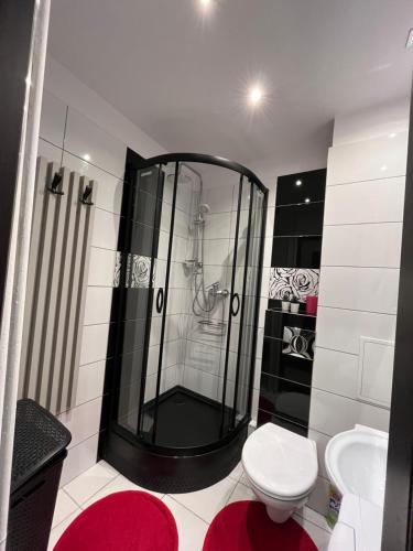 a bathroom with a shower and a toilet at Apartament TURKUSOWY in Kalisz