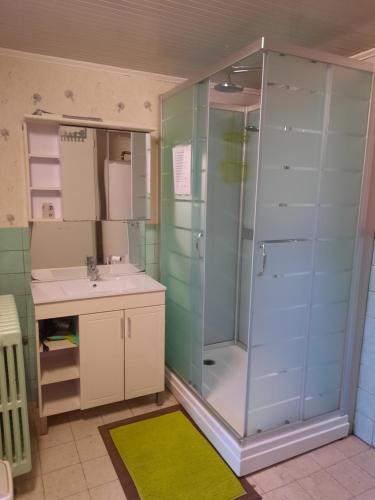 ein Bad mit einer Dusche und einem Waschbecken in der Unterkunft Gîte ferme du moulin in Tournai