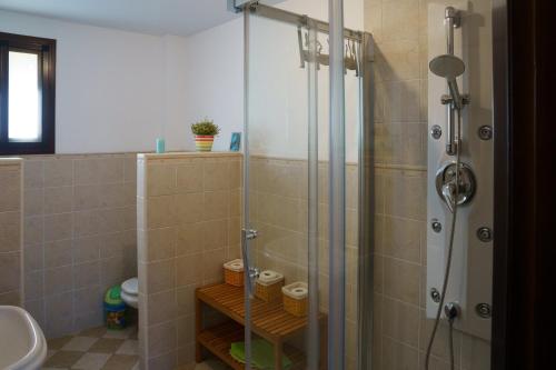 een badkamer met een douche en een wastafel bij TESS Villa Rio Nilo in Alhaurín de la Torre