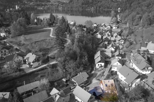 Letecký snímek ubytování Bled House Of Green
