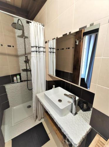 une salle de bain avec un lavabo, une douche et un miroir dans l'établissement Charmant studio proche du centre et des thermes, à Aix-les-Bains