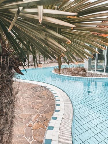 Bazén v ubytování Aedenlife Hotel & Resort Rügen nebo v jeho okolí