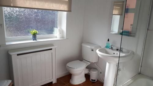 a bathroom with a toilet and a sink and a window at Picturesque area cosy beds Netflix in Chester