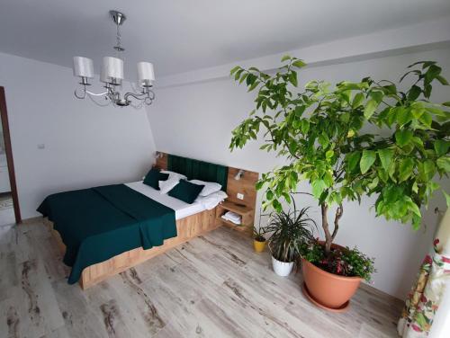 a bedroom with a bed and a potted plant at Casa de vacanta Estera Rucar in Rucăr