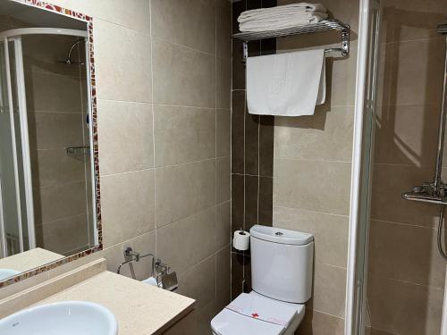 a bathroom with a toilet and a sink and a mirror at Hostal Los Coronales in Madrid