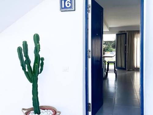 a cactus in a pot sitting in a hallway at Los Barqueros 16 by Best Holidays Fuerteventura in Corralejo