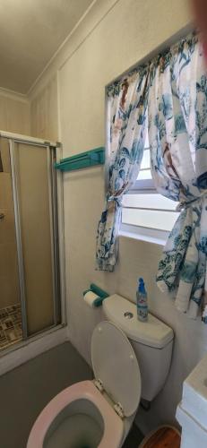 a bathroom with a toilet and a window at Mattaniah Pet friendly Accommodation in Kingsborough