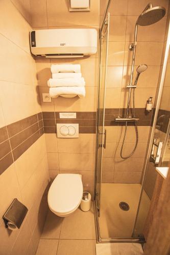 a small bathroom with a toilet and a shower at Hôtel le Panoramic - Votre Hôtel au cœur des Gorges du Verdon in La Palud sur Verdon