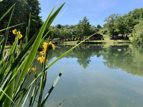 a pond in a park with flowers in the foreground at Valley View Lodge in Welshpool