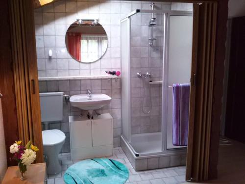 W łazience znajduje się prysznic, umywalka i toaleta. w obiekcie Ferienwohnung Anita Bernhardt w mieście Rimbach