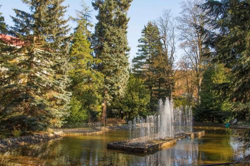 a fountain in a pond in a park with trees at Apartament Polaniczanka in Polanica-Zdrój