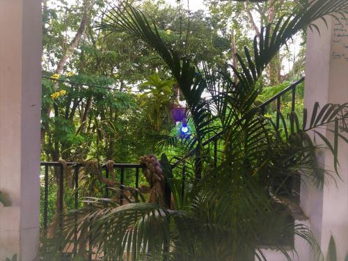 The Hideout Apartment – Photos 2