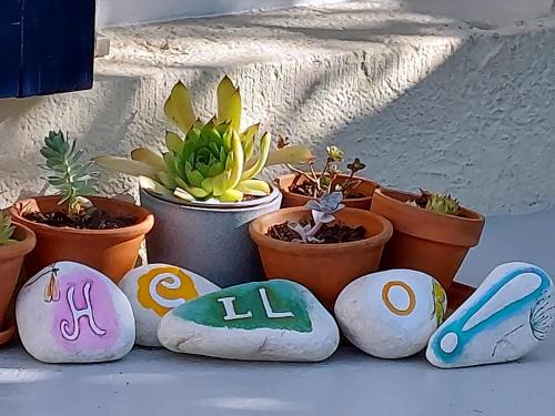 un grupo de plantas en macetas sentadas al lado de algunas plantas en Le clos du marronnier, en Rivières-les-Fosses