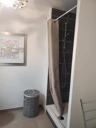 La salle de bains est pourvue d'une douche et d'une poubelle. dans l'établissement Joli appartement proche du centre-réseau orange pour capter, à Saint-Fargeau-Ponthierry