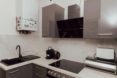ウィーンにあるModern stylish comfortable 2 bedroom apartmentのキッチン(シンク、コンロ付) 上部オーブン