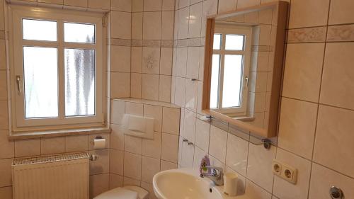 een badkamer met een wastafel, een toilet en een spiegel bij Ferienwohnung Trogschneider Hof in Erbendorf
