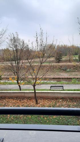 un parc avec deux arbres et un banc dans l'établissement Apartman Diamond, à Paraćin