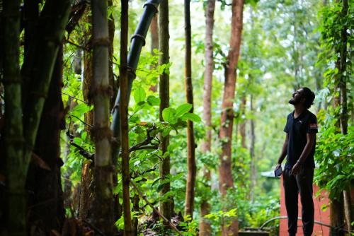 a woman standing on a path in the forest at Adrak Mountain Mist Forest Resort in Pulpally