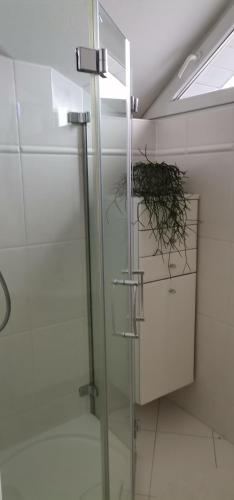 a glass shower in a bathroom with a plant at Haus Jastrinsky in Dorfgastein