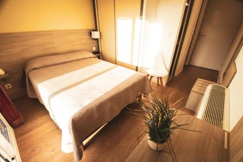 a small bedroom with a bed and a potted plant at Hôtel le Panoramic - Votre Hôtel au cœur des Gorges du Verdon in La Palud sur Verdon