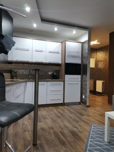 Dapur atau dapur kecil di Apartament Widok Polana Szaflarska