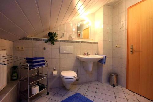 ein Bad mit einem WC und einem Waschbecken in der Unterkunft Ferienhaus Corinna in Kirchdorf im Wald