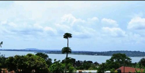 Migingo Suites – صور 3